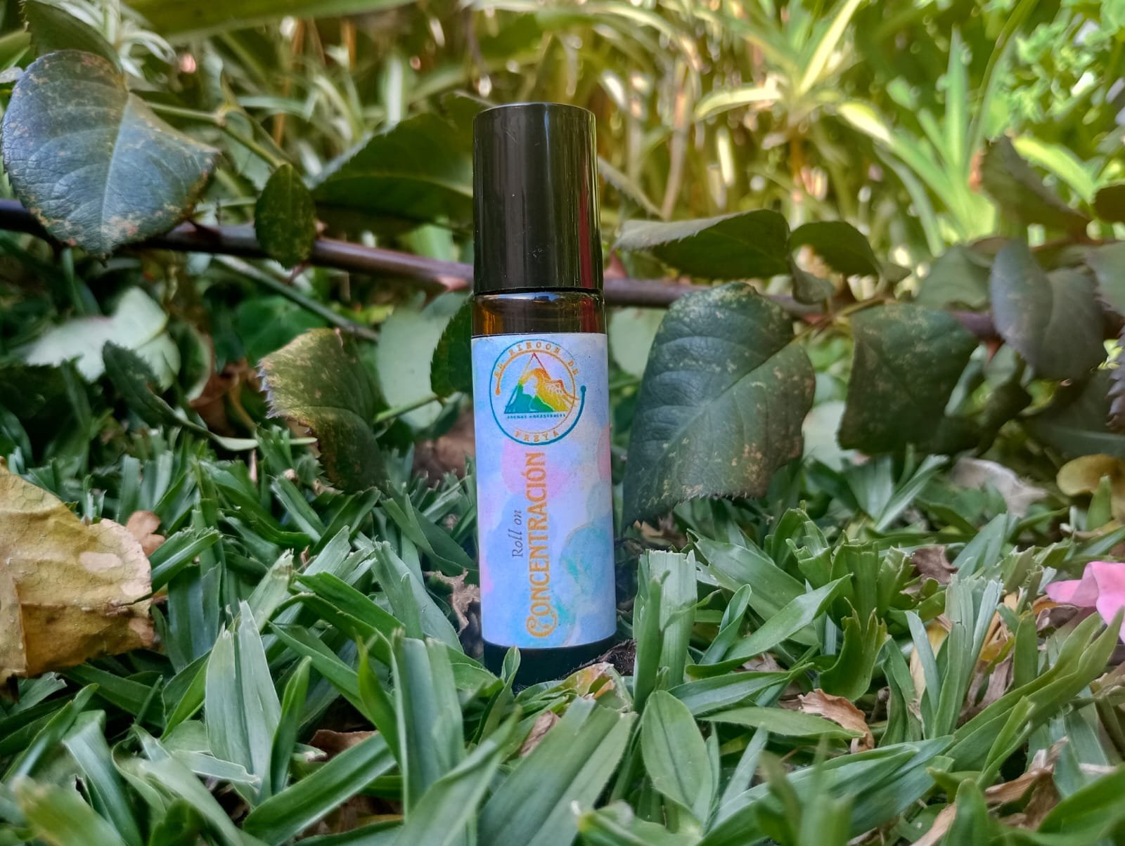 Roll On "Concentración"